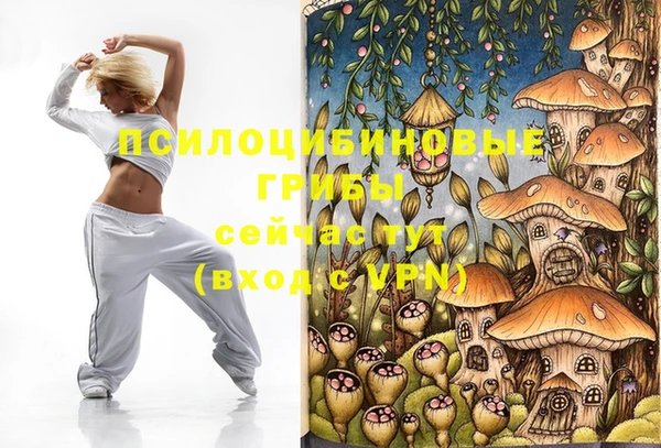 бутират Козловка