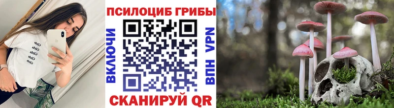Псилоцибиновые грибы Cubensis  Купить закладки  Белоярский 
